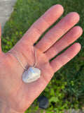 Sea Shell Necklace