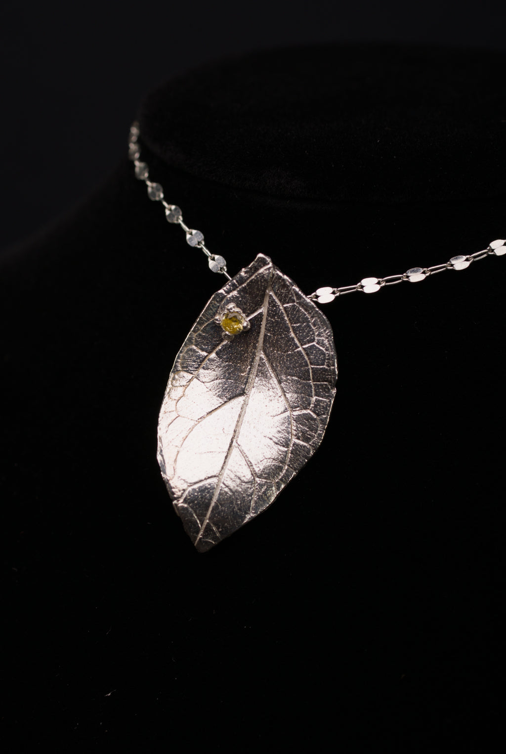 Pratt Park Leaf