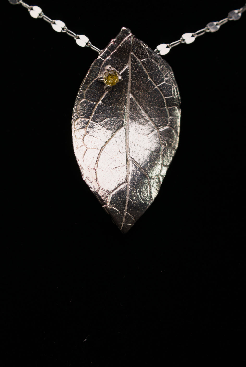 Pratt Park Leaf