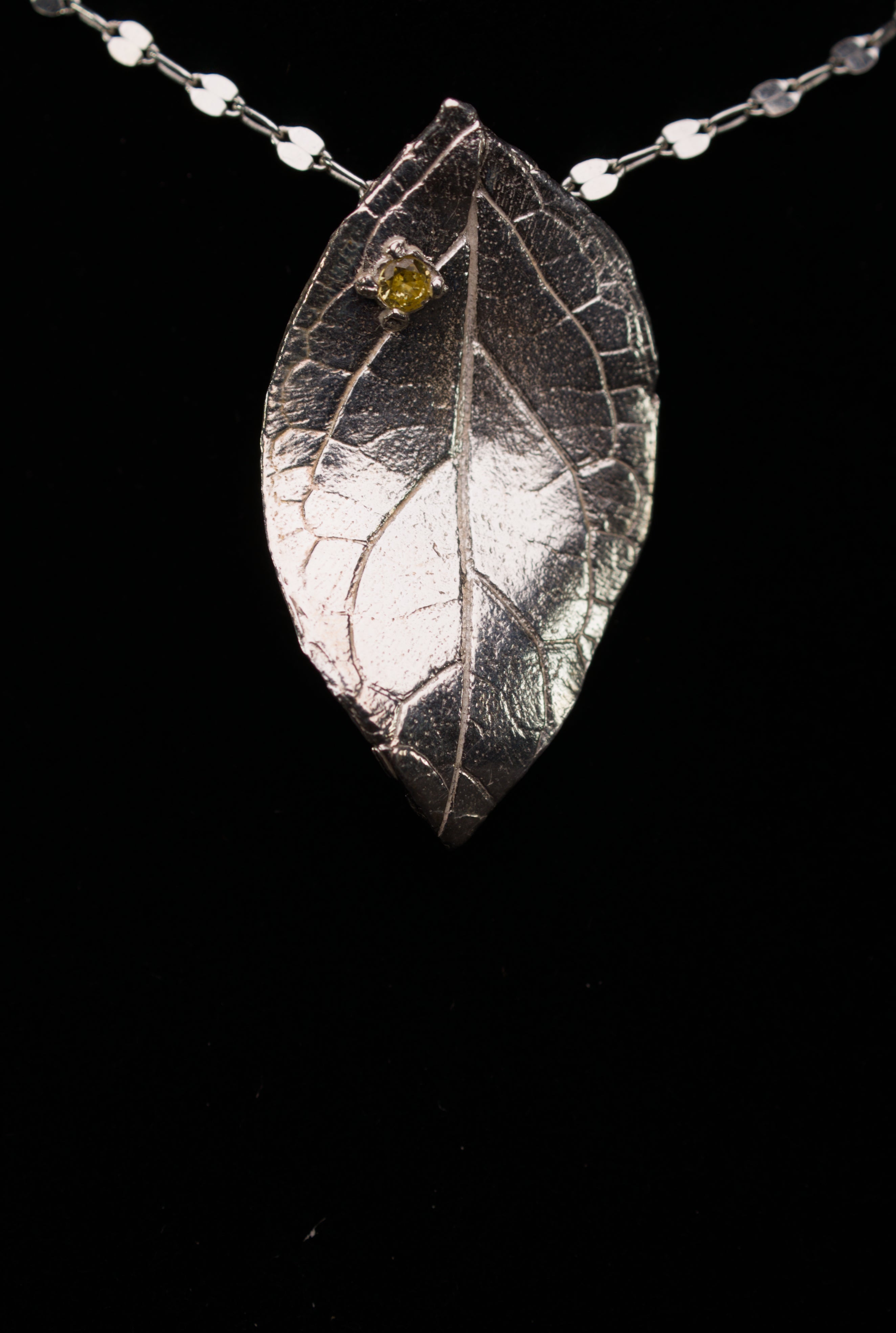 Pratt Park Leaf